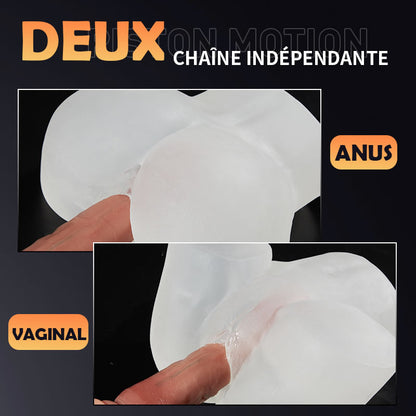 Fesse réaliste d'art transparente 2.55kg