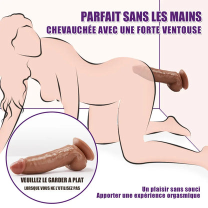 Gode Réaliste Anal 22 CM ventouse Fondlove Fondlove