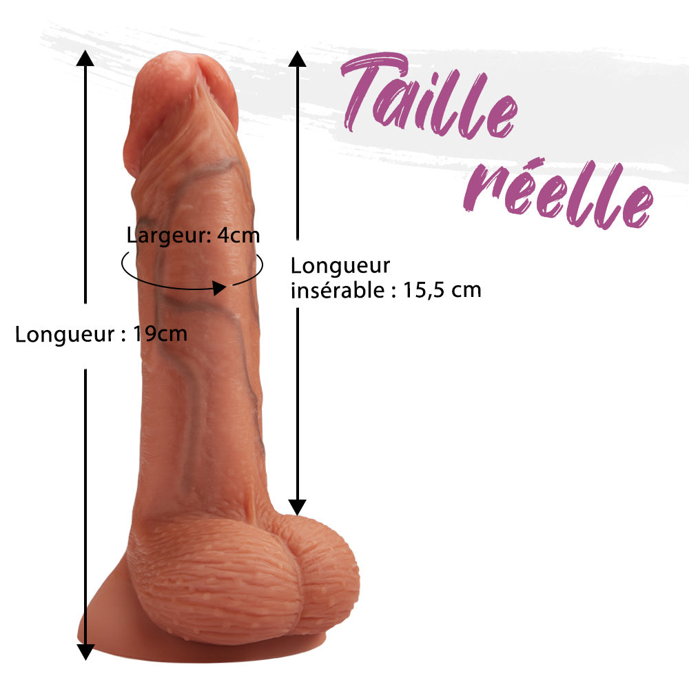 Gode dildo ventouse réaliste Vrai pénis gland veines testiculaires 19cm Fondlove